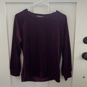 Deep purple velvet top - medium petite